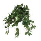 Plante artificielle : Pot scindapsus retombant D.45 x H.25 cm